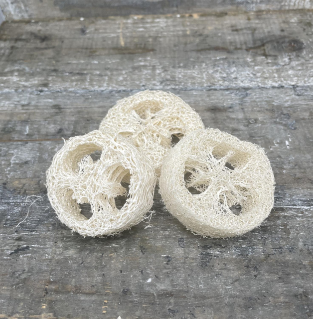 Luffa-Scheibe 3-er Set 